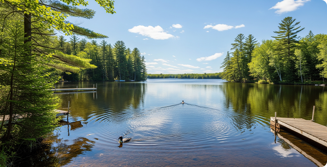 A calm lake, symbolizing business expansion, is surrounded by tall green trees under a blue sky. Two docks stretch out on either side as two ducks swim near the shore, creating gentle ripples in the serene water.
