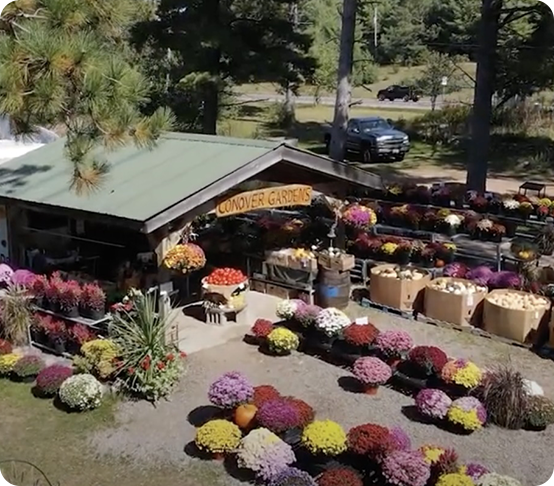 A small garden shop named Conover Gardens is surrounded by colorful pots of flowers and plants, with garden displays arranged outside under a green roof. Trees and a parked vehicle are in the background.