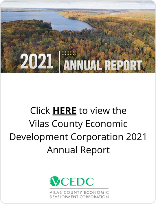 A scenic aerial view of a forested area beside a lake is shown above the text “2021 Annual Report.” Below, text invites users to explore Vilas County Economic Development Corporation’s Annual Reports for 2021.