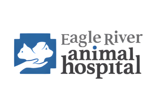 Logo for Eagle River Animal Hospital, a business of the year, featuring a blue square with white silhouettes of a cat and dog resting on a hand, next to the hospital name in bold black and gray text.