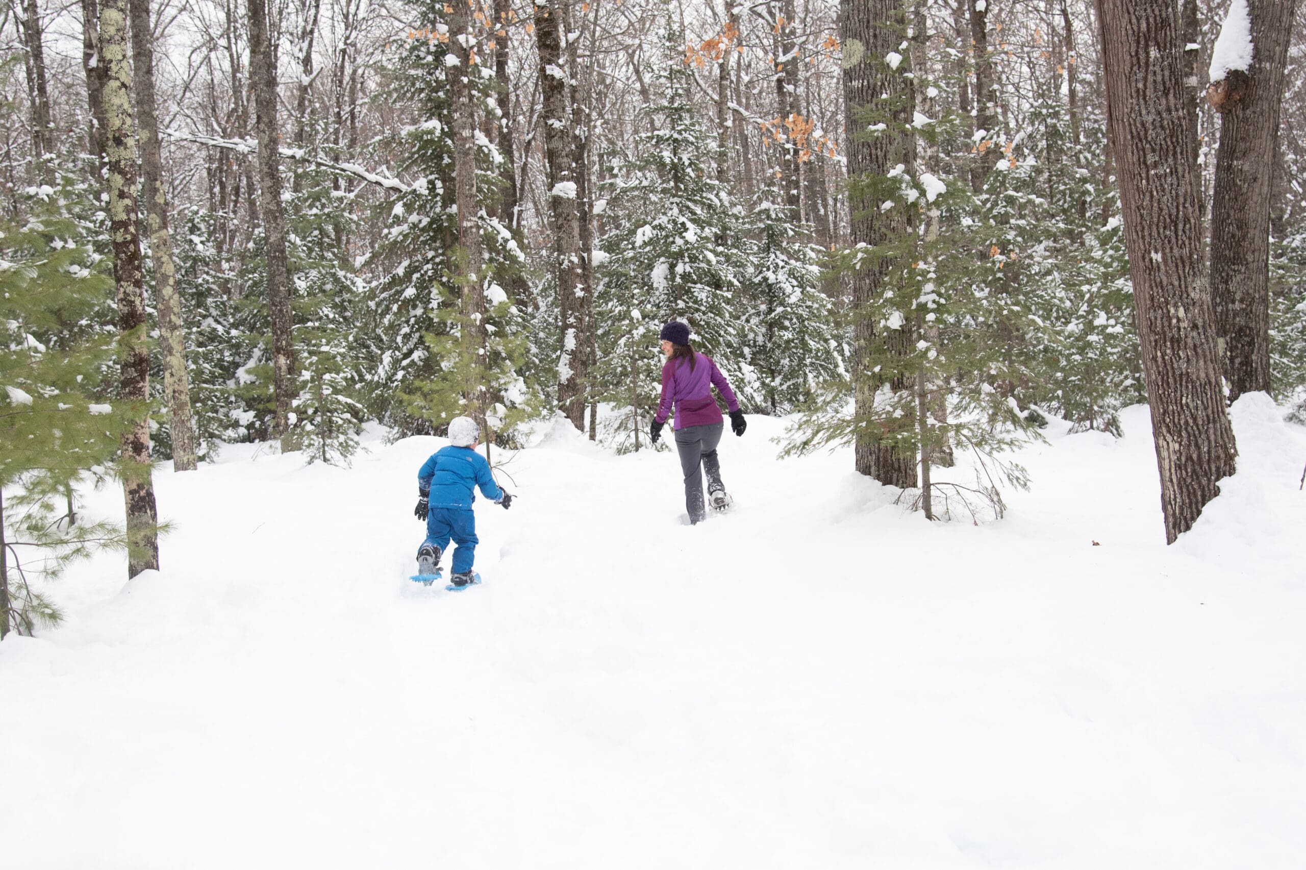An adult and a child walk through a snowy forest, both dressed in winter clothing. The trees are covered with snow, and the ground is blanketed in white. The child follows behind the adult on the snowy path.
