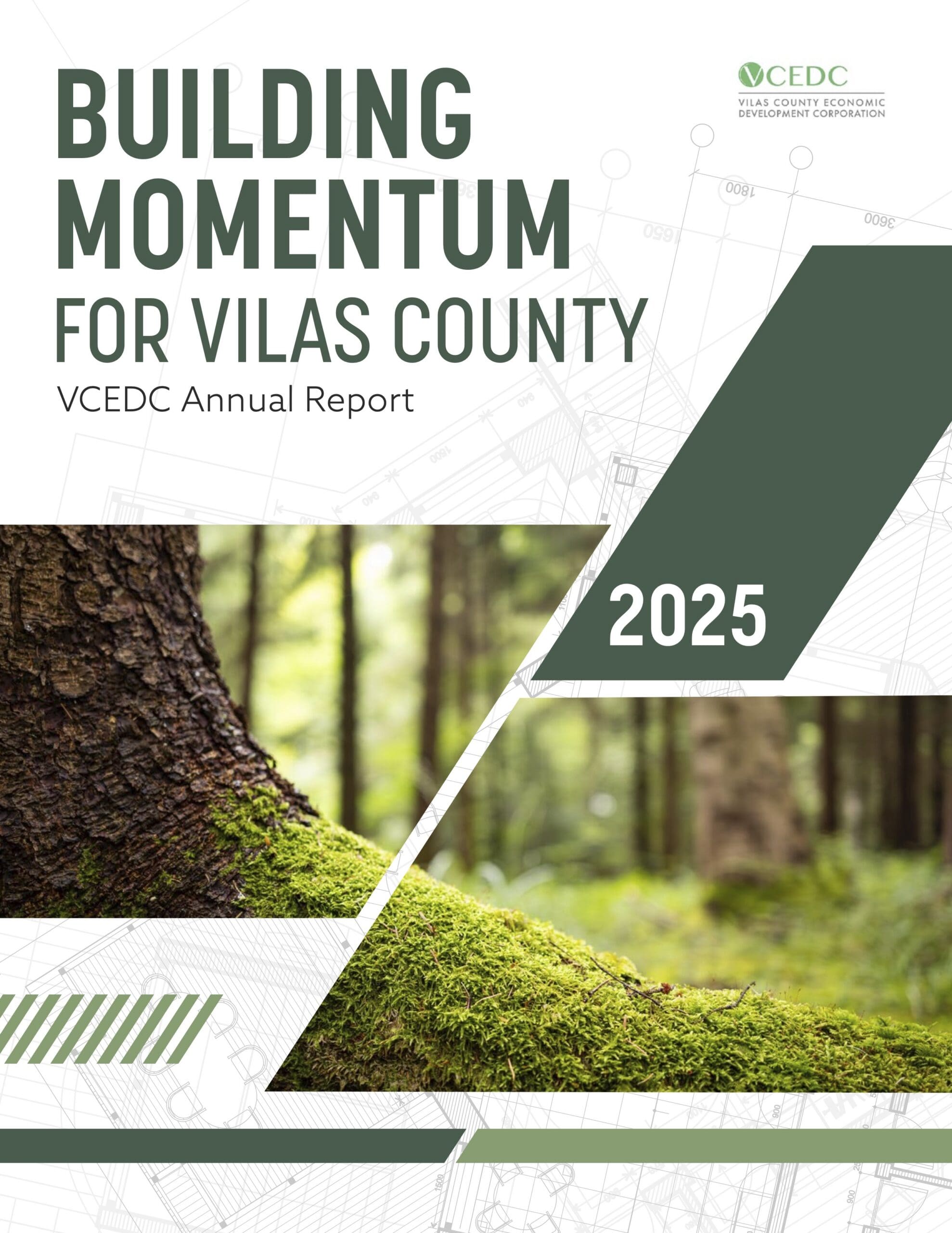 Cover of the VCEDC Annual Report 2025 featuring the title Building Momentum for Vilas County over a background of forest trees and abstract geometric lines.